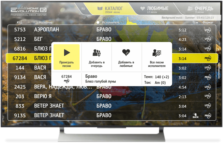 Интерфейс управления караоке системой на телевизоре