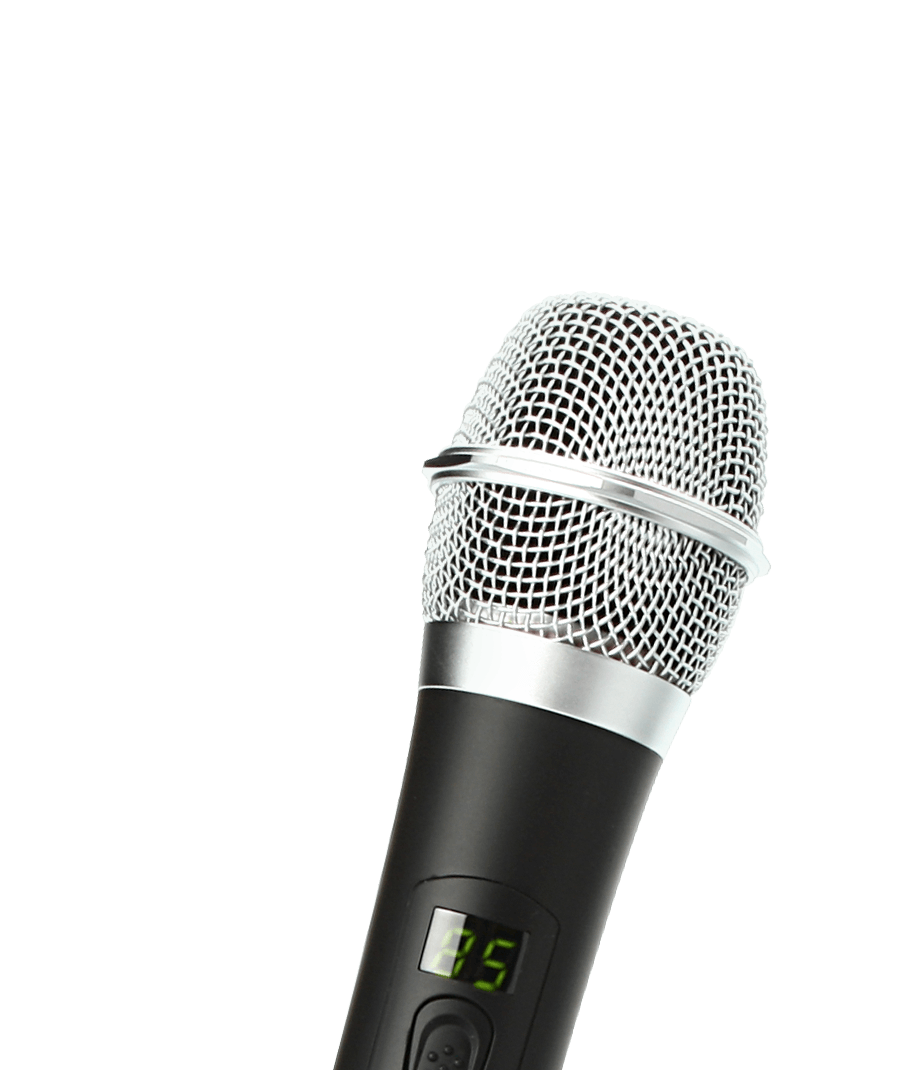 Микрофон SE 120