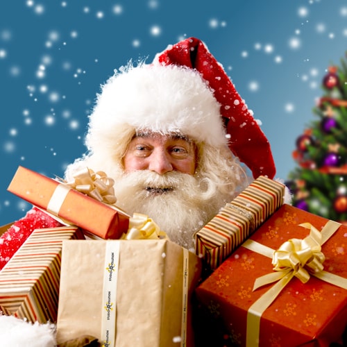 New Year’s gifts from the Studio Evolution