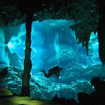 Evolution Underwater